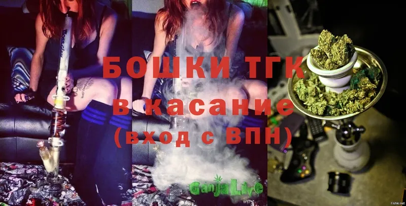 купить  сайты  Кедровый  Канабис SATIVA & INDICA 